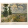 Monet - Les Coquelicots, Environs D'argenteuil