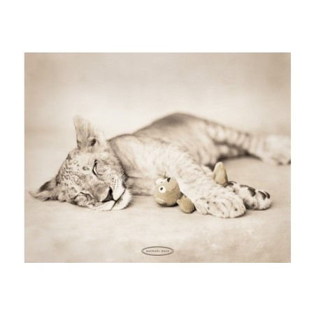 Rachael Hale - Cub/Teddy