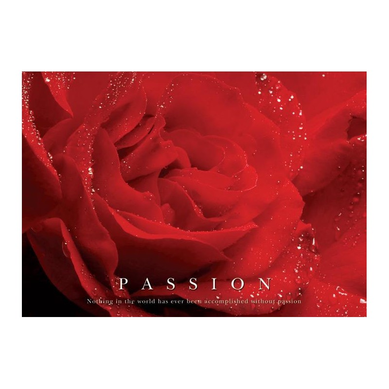 Passion Röd Ros Passion Röd Ros