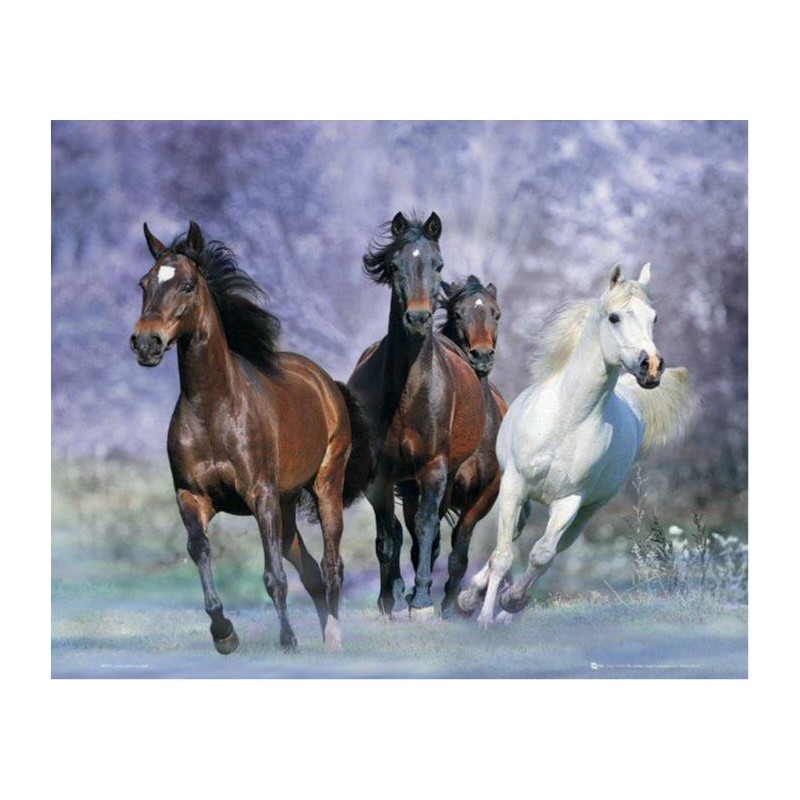 Bob Langrish - Running horses Bob Langrish - Running horses