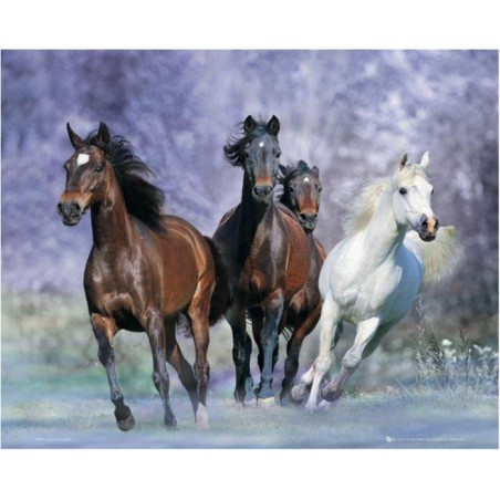 Bob Langrish - Running horses