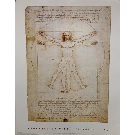 Da Vinci - Vitruvian Man