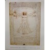 Da Vinci - Vitruvian Man