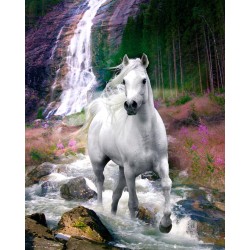 Bob Langrish - Waterfall and Horse