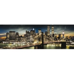 New York - Manhattan - Night and moon