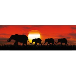Sunset Elephants - Elefanter i solnedgång