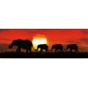 Sunset Elephants - Elefanter i solnedgång