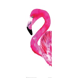 Sofie Rolfsdotter - Flamingo