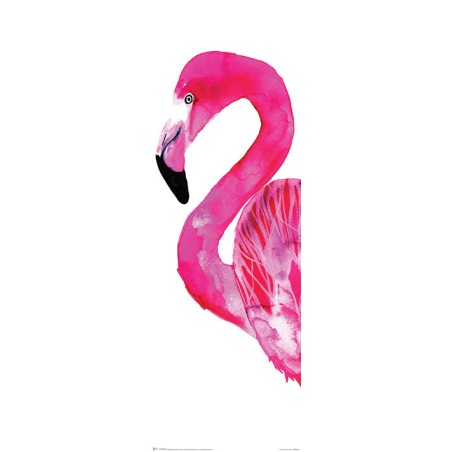Sofie Rolfsdotter - Flamingo