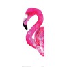 Sofie Rolfsdotter - Flamingo
