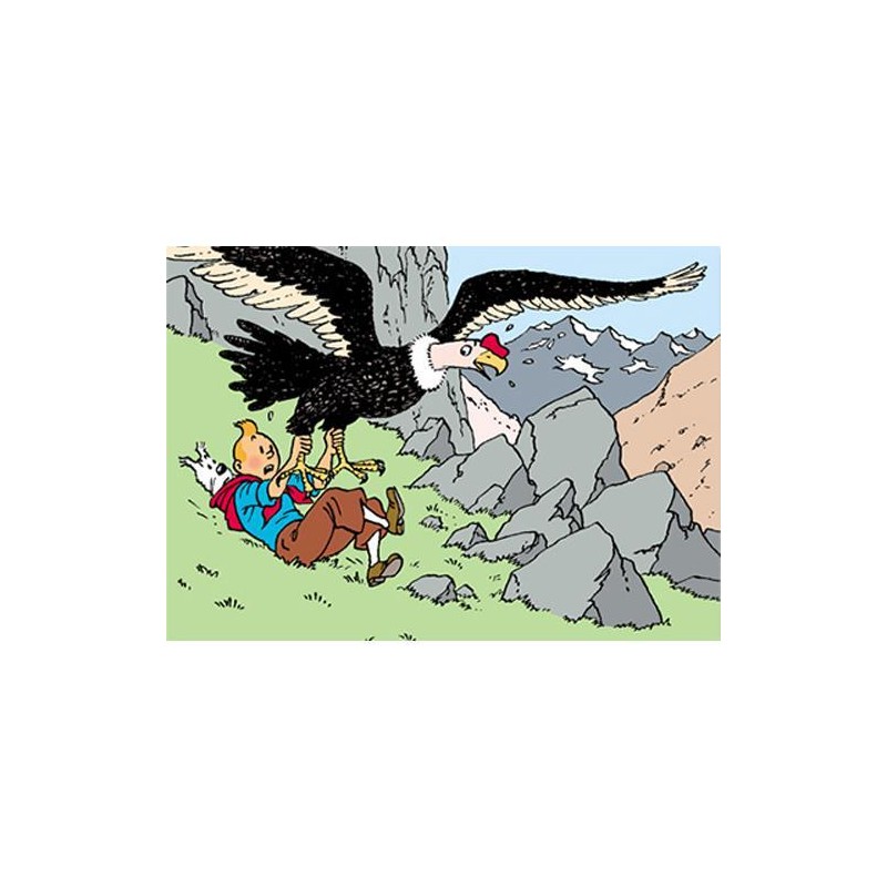 Poster - Tintin Le Temple du Soleil - Solens tempel - Condor Poster - Tintin Le Temple du Soleil - Solens tempel - Condor