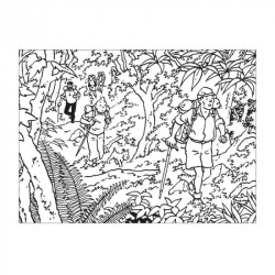 Tintin - Målarbok - Tintin i Tibet