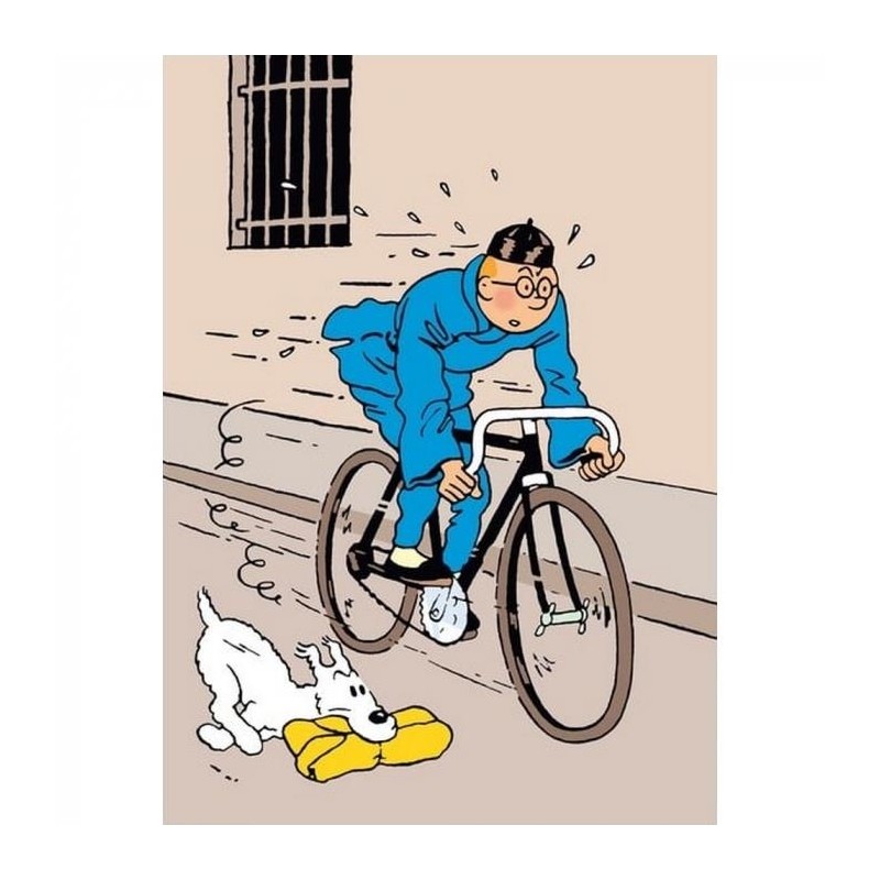 Tintin - Plastficka A4 - Blå Lotus - Tintin på Cykel