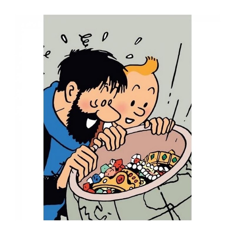 Tintin - Plastficka A4 - Enhörningens hemlighet 3