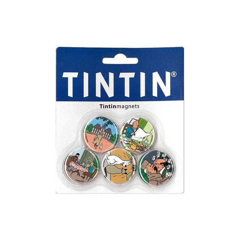 Tintin - Sats med 5 runda magneter