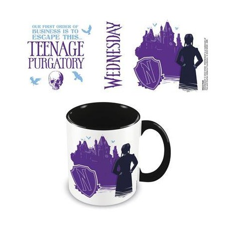 WEDNESDAY (TEENAGE PURGATORY)