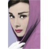 Audrey Hepburn - Shawl