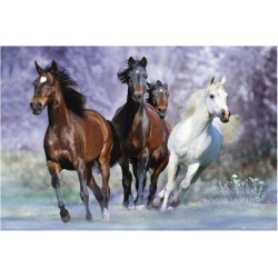 Bob Langrish - Running horses