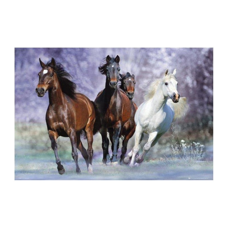 Bob Langrish - Running horses Bob Langrish - Running horses