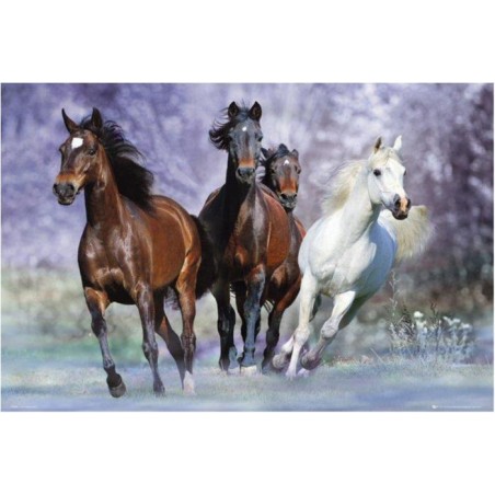 Bob Langrish - Running horses