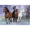 Bob Langrish - Running horses
