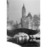 Central Park