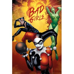 DC Comics - Badgirls Group