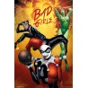 DC Comics - Badgirls Group