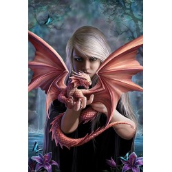 Anne Stokes - Dragon Baby
