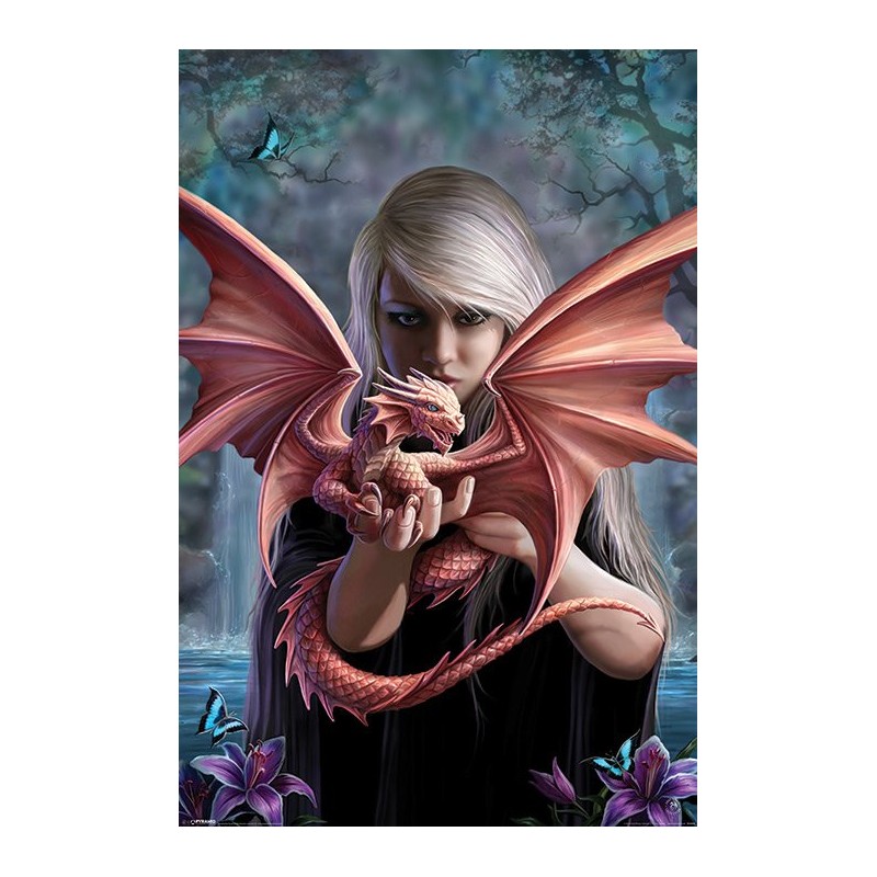 Anne Stokes - Dragon Baby Anne Stokes - Dragon Baby