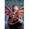 Anne Stokes - Dragon Baby