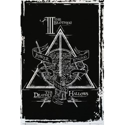 Harry Potter - Deathly Hallows Graphic