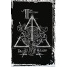 Harry Potter - Deathly Hallows Graphic