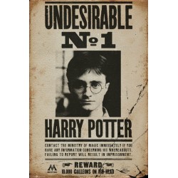 Harry Potter - Undesirable No 1