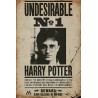 Harry Potter - Undesirable No 1