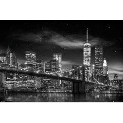 New York - Freedom Tower B&W