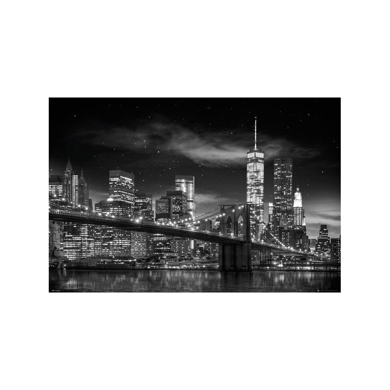New York - Freedom Tower B&W New York - Freedom Tower B&W