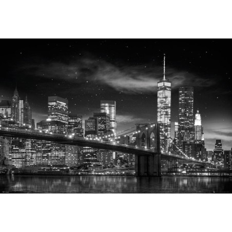 New York - Freedom Tower B&W
