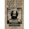 Harry Potter - Wanted Sirius Black