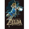 The Legend Of Zelda - Link
