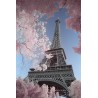 David Clapp - Eiffel Tower, Paris Pink blossoms