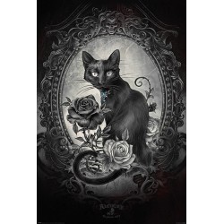 Alchemy - Paracelcus - Cat - Katt