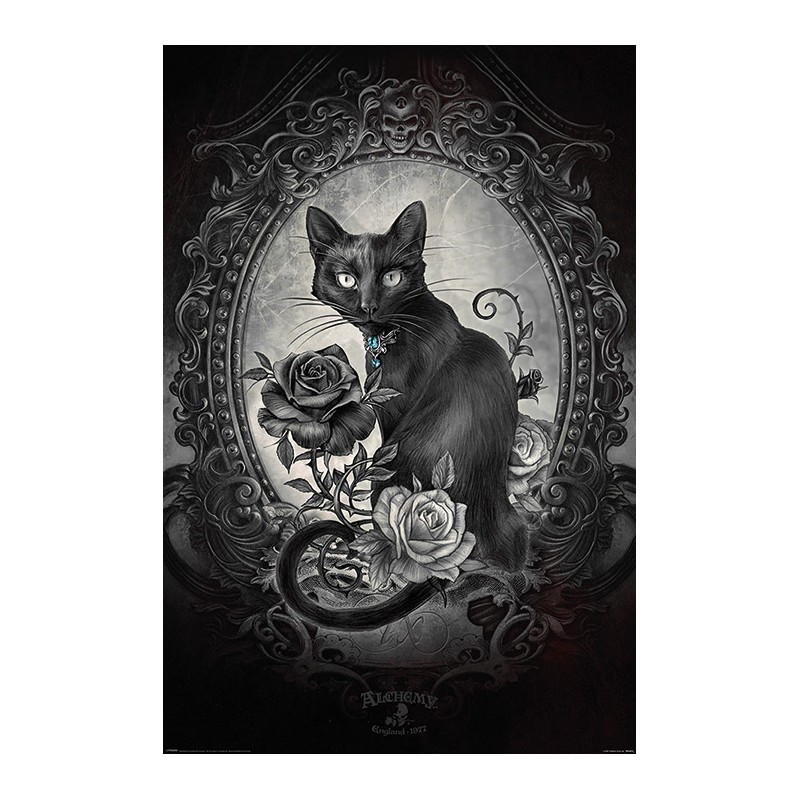 Alchemy - Paracelcus - Cat - Katt Alchemy - Paracelcus - Cat - Katt