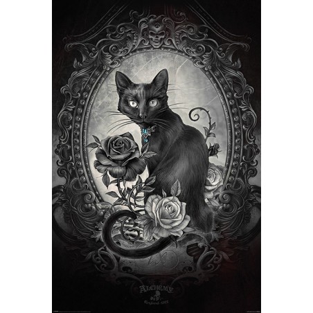 Alchemy - Paracelcus - Cat - Katt