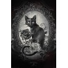 Alchemy - Paracelcus - Cat - Katt