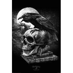 Alchemy - Poe's Raven - Korp