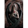 Anne Stokes - Angel Rose