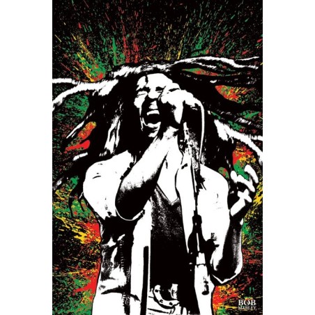 Bob Marley - Paint Splash