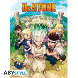 DR STONE - Poster "Group"