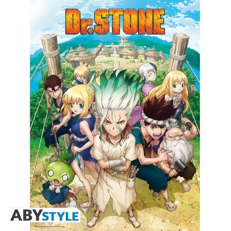 DR STONE - Poster "Group"